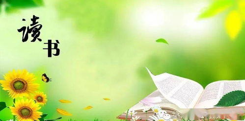 “小清新”风格网名的风水学理据与气场分析