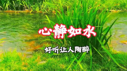 宁静之心之益处：享受生活之美好