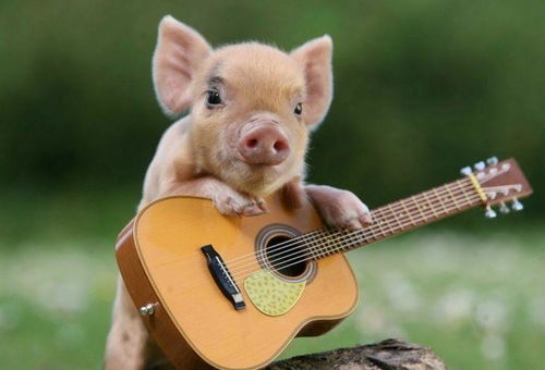 龙大姐：霸气侧漏hold不住