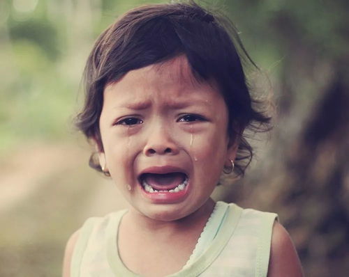 1.1 家庭内部因素的可能性