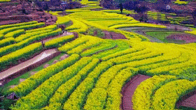 二、景点：人山人海中的“寂寞芳华”