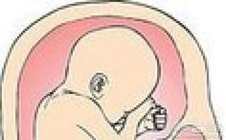 ：积极面对子宫壁厚