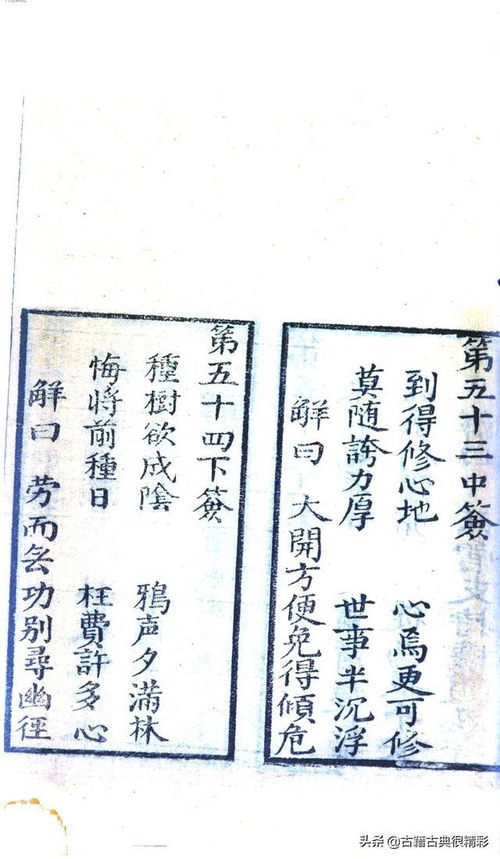 月老灵签逍遥卦柳絮，这100签中哪一签最符合我的运势？