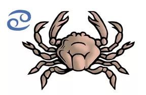 2026年属狗巨蟹座七月运势和1982年属狗巨蟹座2026年运势分别是什么？