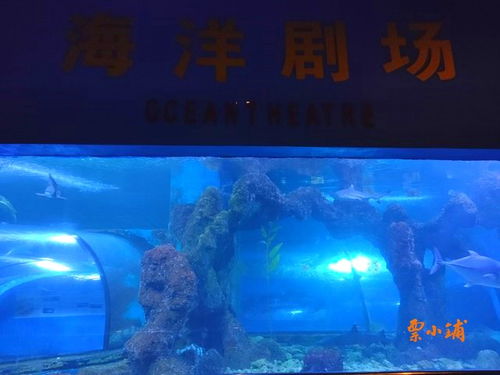 表演时间与星座运势的神秘关联