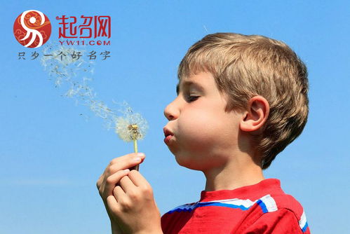 带“昱”字的男孩名… 随便一堆