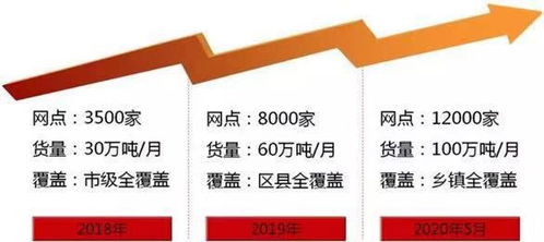 识别市场价格较高人的关键因素及其八字对应关系