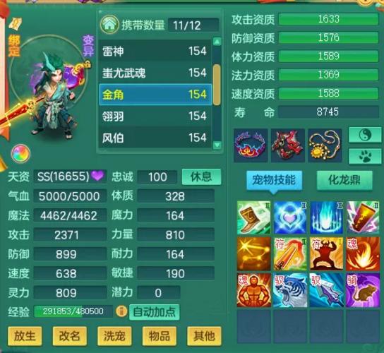 神武精良命格与精准命格价格对比，精准命格能否提升封印命中率？