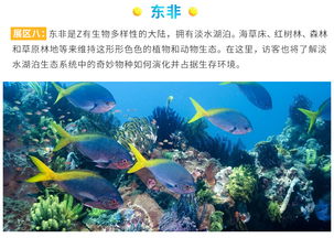 套餐里的“隐形彩蛋”：比市场价格更吓人的是体验值