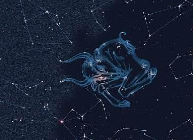 星座与命理的作用于