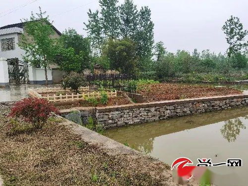 一、 水厂周边居住环境风水问题之系统性分析