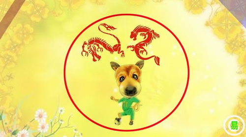 属龙和狗的婚姻黄历龙冲狗意味着什么？