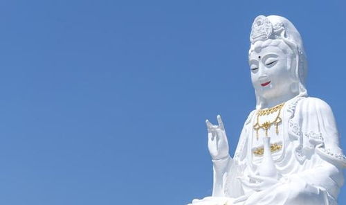 探究背景與目的