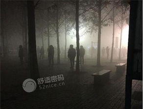 探究诗集背后的神秘力量
