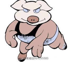 五、 男婴命名中的性别辨识要点