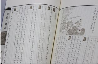 惯与孙姓的历史渊源（突然跑题了）