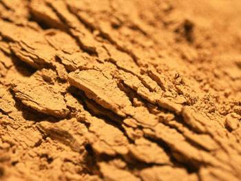 土字在八字中是否代表好运，对命运有何影响？