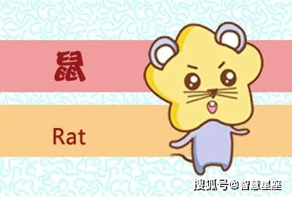 1984年属鼠女性在2026年全年及每月运势如何？