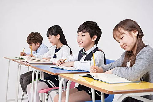 现实案例与社会现象分析