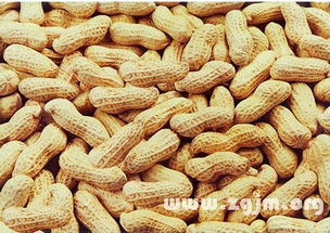 梦见老公买花生米是什么预兆？丈夫购买花生米的梦境有何含义？