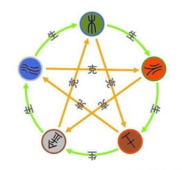 八字五行与体质易感性的形而上分析