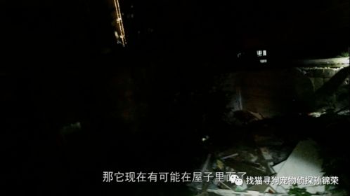 一、 千年古井的诡异异变