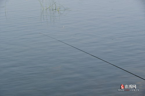 四、 初伏时期传统风俗及其文化内涵