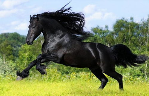 2026年5月2日属马财运如何？90年属马转运物件是什么含义？