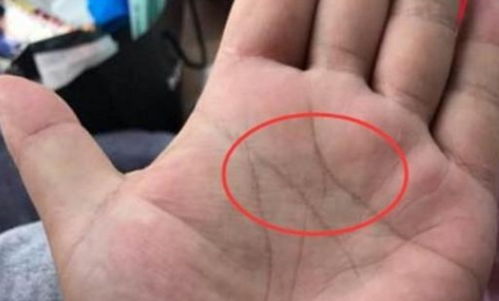 3. 食指横纹：异性缘带来的财富机遇