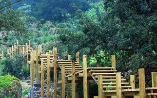 枫桥香榧公园の血泪史诗：2026年黄历警告！巨蟹座慎入！