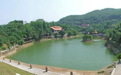 四、吃在普宁：不吃饱怎么有力气减肥？