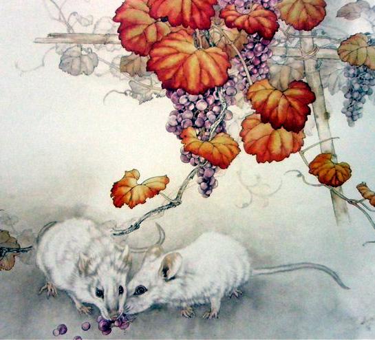 女鼠男虎八字合婚吗？鼠男女虎八字相合能幸福吗？