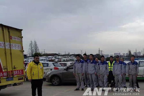 二、  搬家后环境净化的必要性