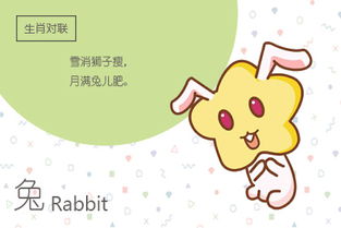 2．虚岁的定义与社会周边环境功能