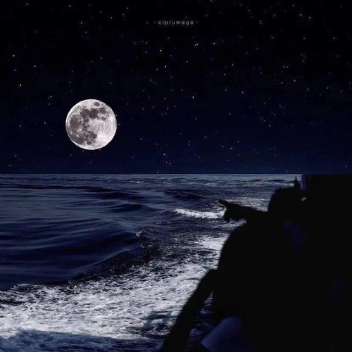 一、 探究背景与案例概述