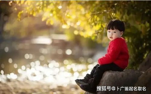朝气蓬勃：象征着活力与希望