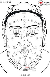 二、  上停：天之象征与早年运势的映射