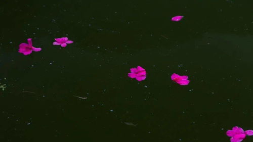 天蝎座女性一生中会遇到哪位贵人呢？