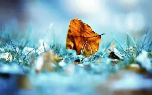 ：阴阳交替节点下的时空隐喻与心理调适