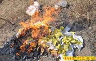3. 其他东亚文化底蕴对比