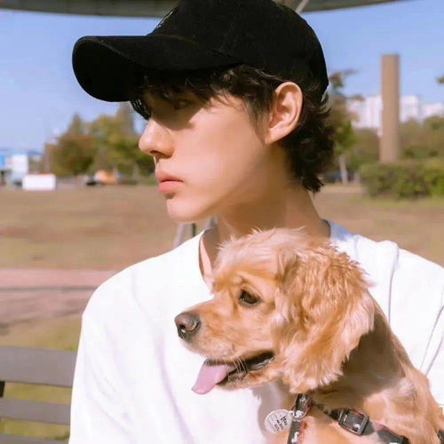 生肖猪：憨厚质朴中的大智若愚与亲和力构建