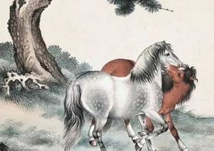 1．情绪管理与冲突解决