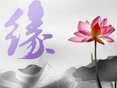 感情这事儿，谁说得准？