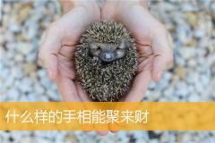 数字7代表吉凶，其含义和寓意究竟是怎样的呢？