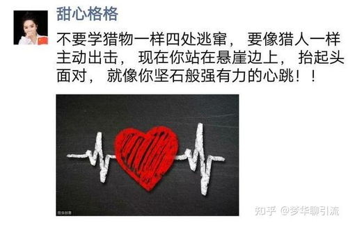 一、 核心定位与主题策划