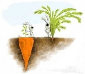 风象星座的连接与平衡：认知重构与社交拓展