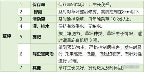 五行八卦在屏幕里乱窜