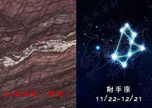 第二章：星象星座解读——李阳的宿命抉择