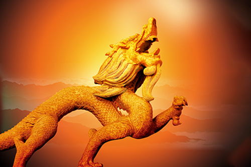 12岁生肖龙全年运势中，农历12月运势具体指的是什么？