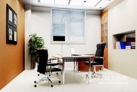 植物的选择与摆放